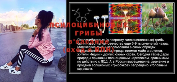 кокс Алексеевка