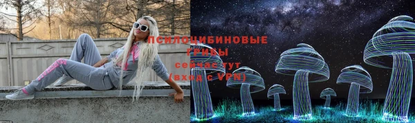 синтетический гашиш Алексин
