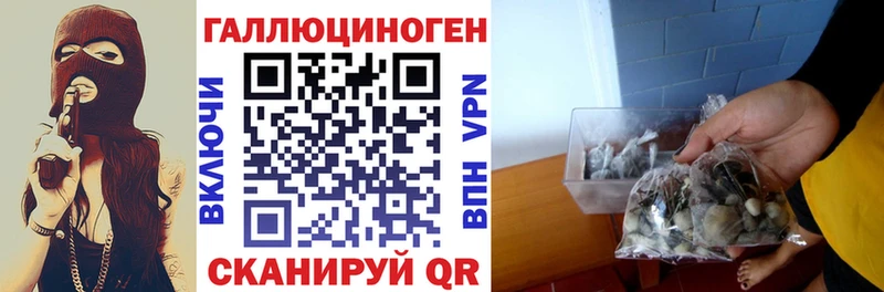 Галлюциногенные грибы мицелий  Апатиты 