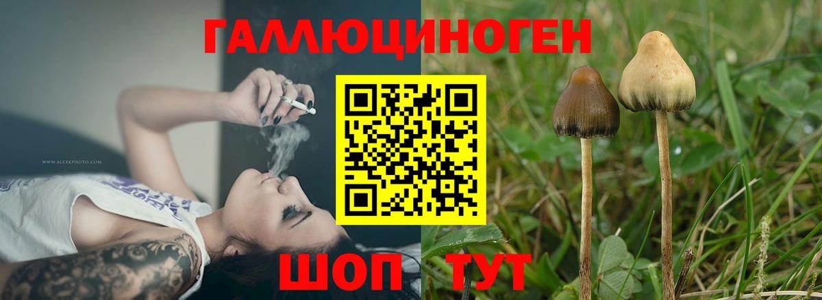 Галлюциногенные грибы мухоморы  Вход с VPN  закладки  Апатиты 